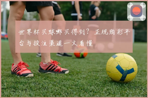 世界杯买球哪买得到?正规购彩平台与投注渠道一文看懂