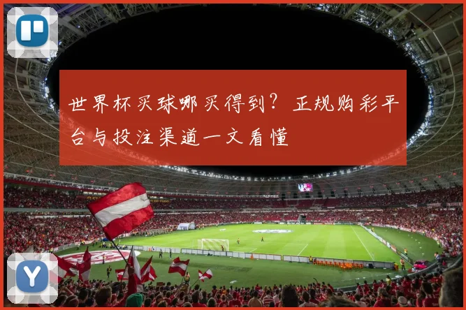 世界杯买球哪买得到？正规购彩平台与投注渠道一文看懂
