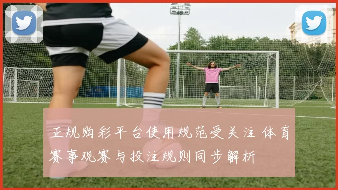 正规购彩平台使用规范受关注 体育赛事观赛与投注规则同步解析